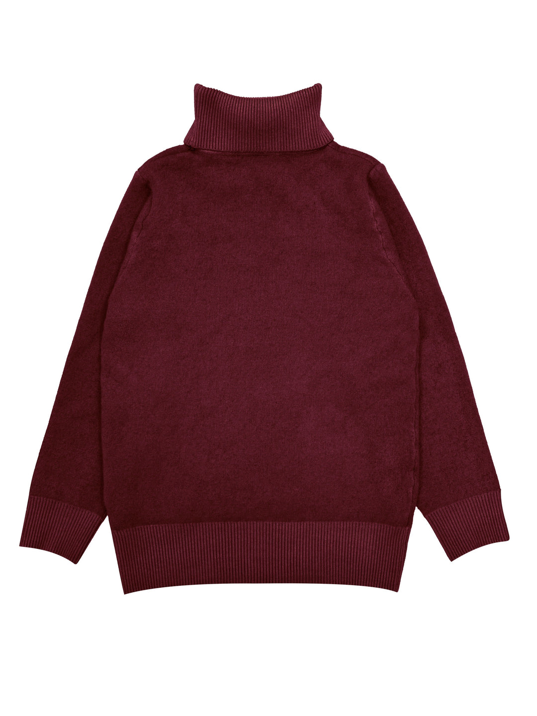 Selena | Cozy Lined High Neck Sweater